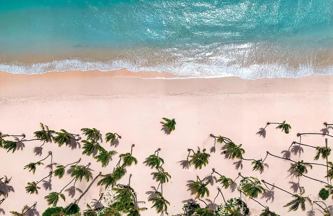 Hyatt Vivid Punta Cana - Adults-Only All-Inclusive Resort-1